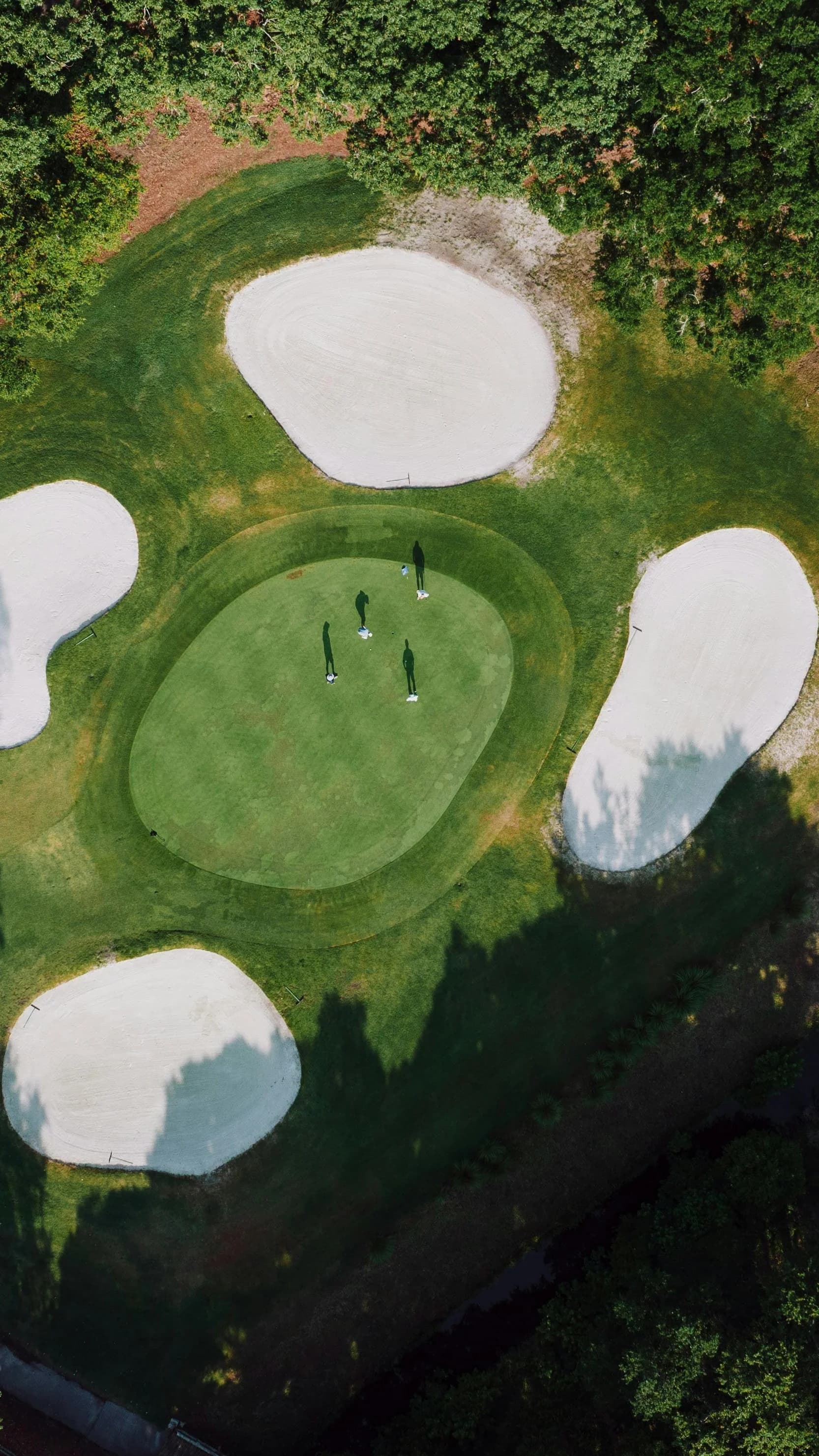 Golfbana från luften